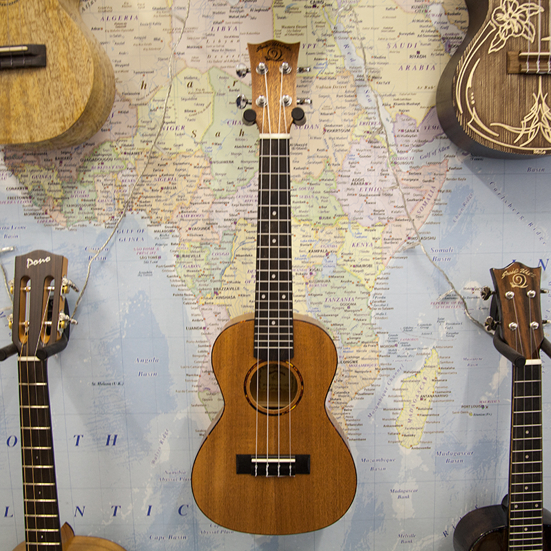 Snail-UKC-458E-Concert-Ukulele.jpg