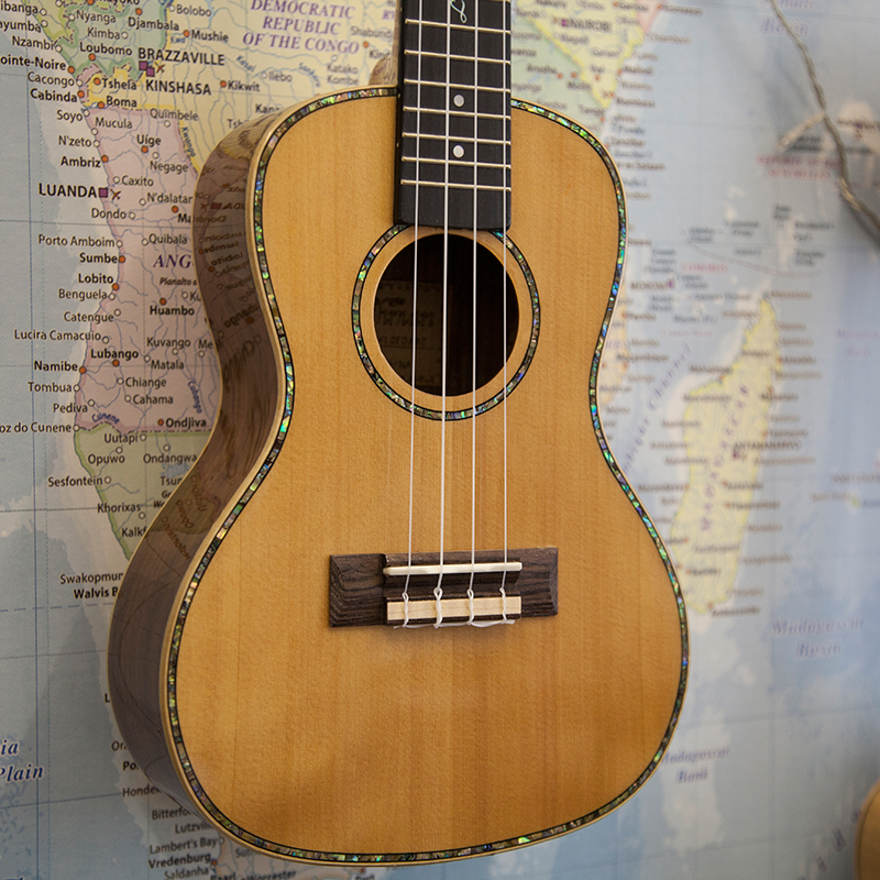 Freshman UKLCEDARC Concert Electro Ukulele1.jpg