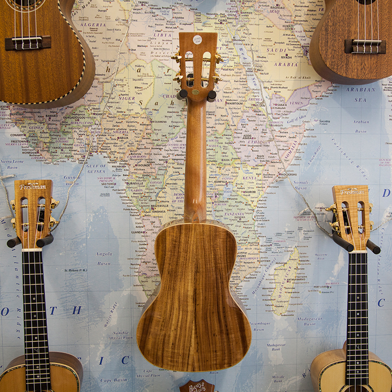 Freshman-UKLKOAC-Electro-Concert-Ukulele-3.jpg