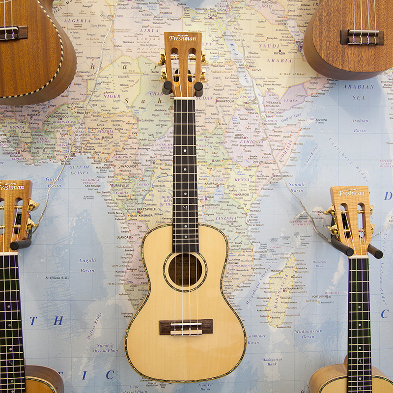 Freshman-UKLKOAC-Electro-Concert-Ukulele.jpg