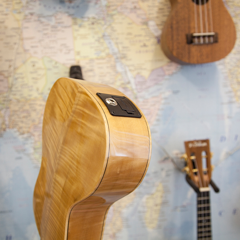 UKMAPLEC-freshman-concert-electro-ukulele-4.jpg