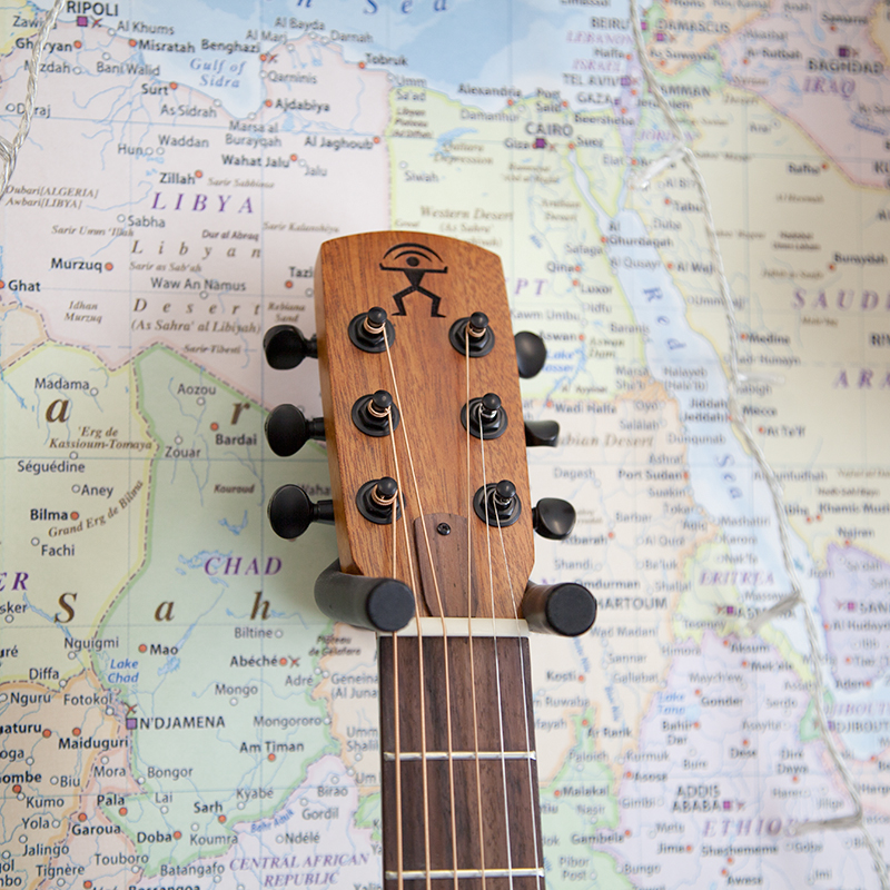 aNueNue-M10E-Feather-Bird-Guitar-1.jpg