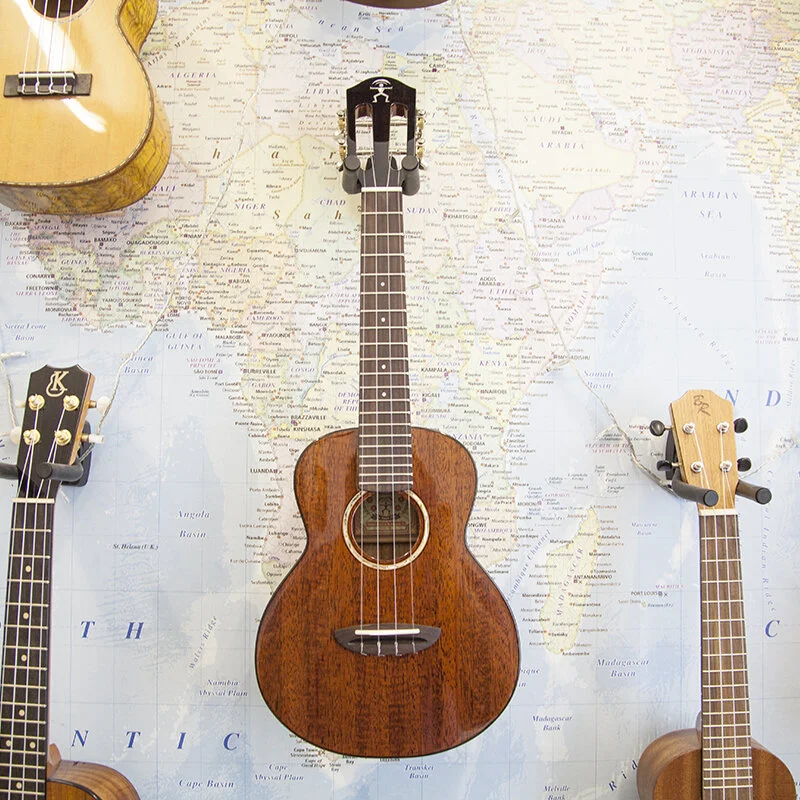 aNueNue AMM2 All Solid Mahogany Concert Ukulele