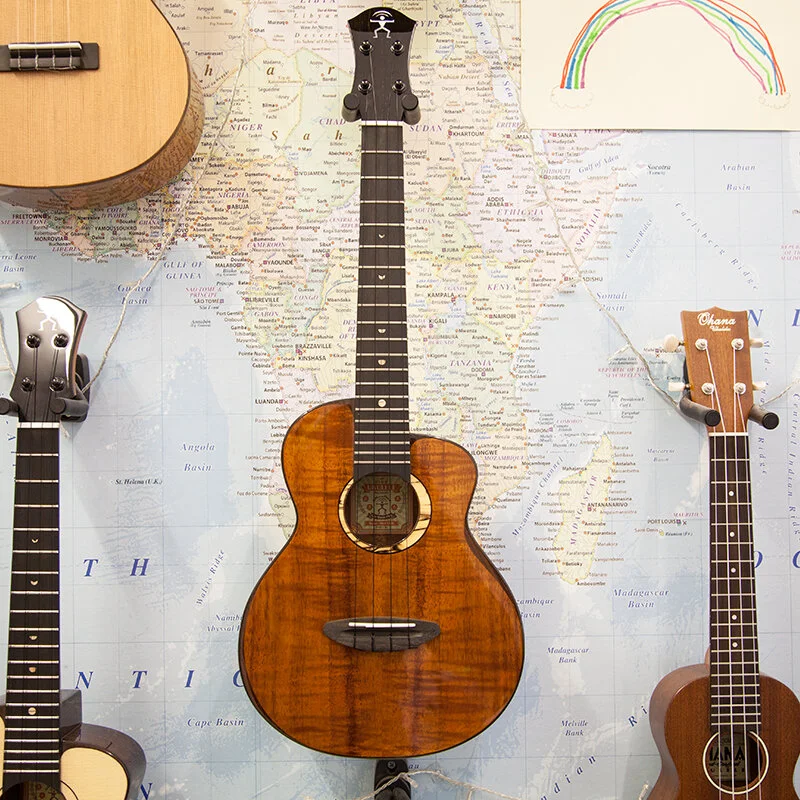 aNueNue UT-3K Bird Series Koa Tenor Ukulele
