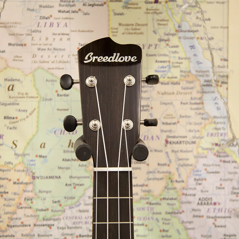 Breedlove Lu'au Solid Myrtle Top Tenor Ukulele — World of Ukes