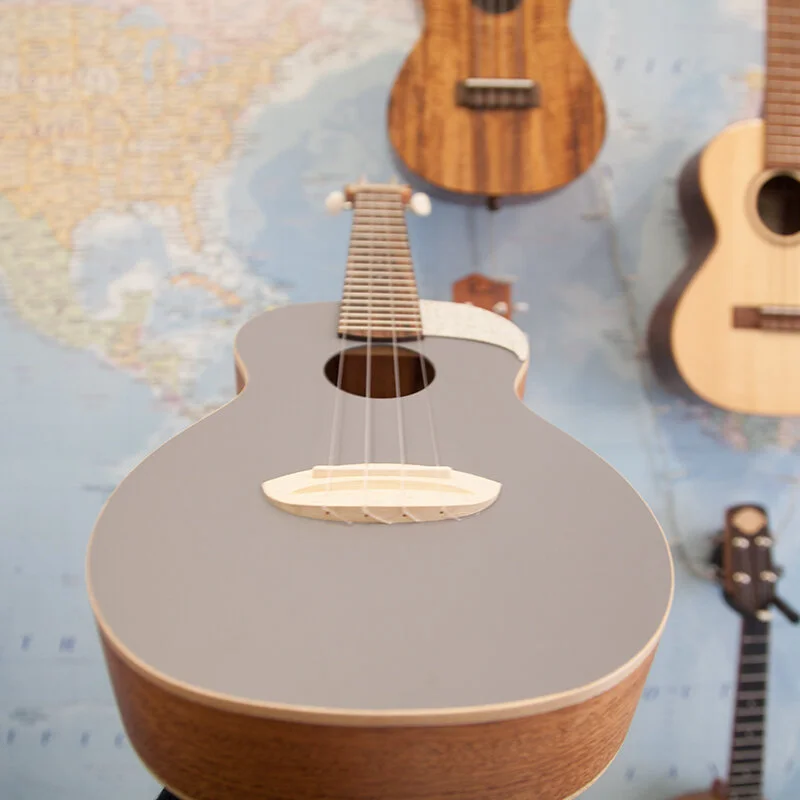 aNueNue-UC10-QS-Quiet-Shade-Concert-Ukulele-4.jpg