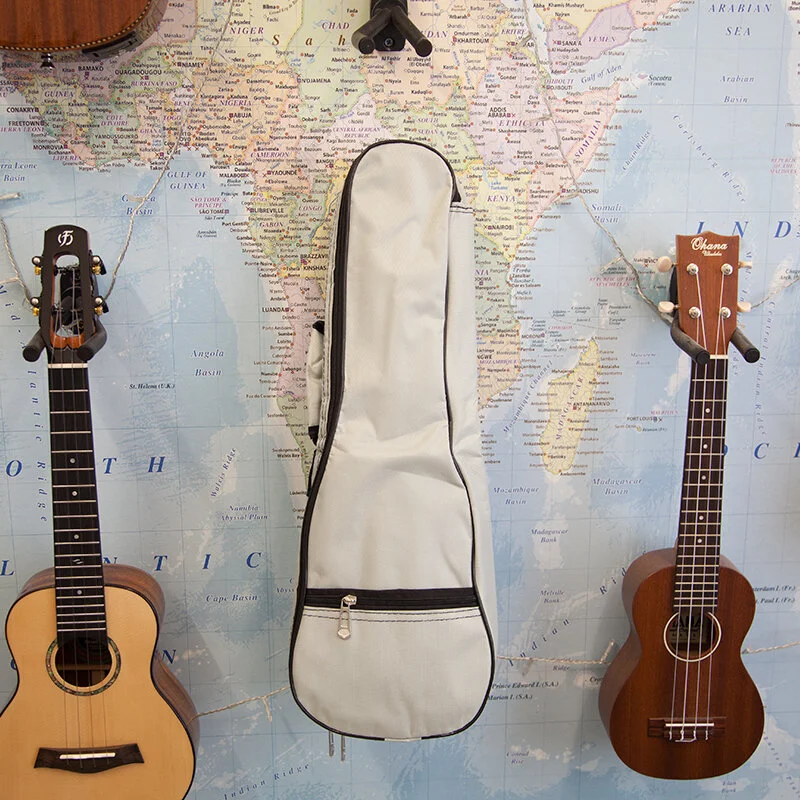 fremont ukulele case