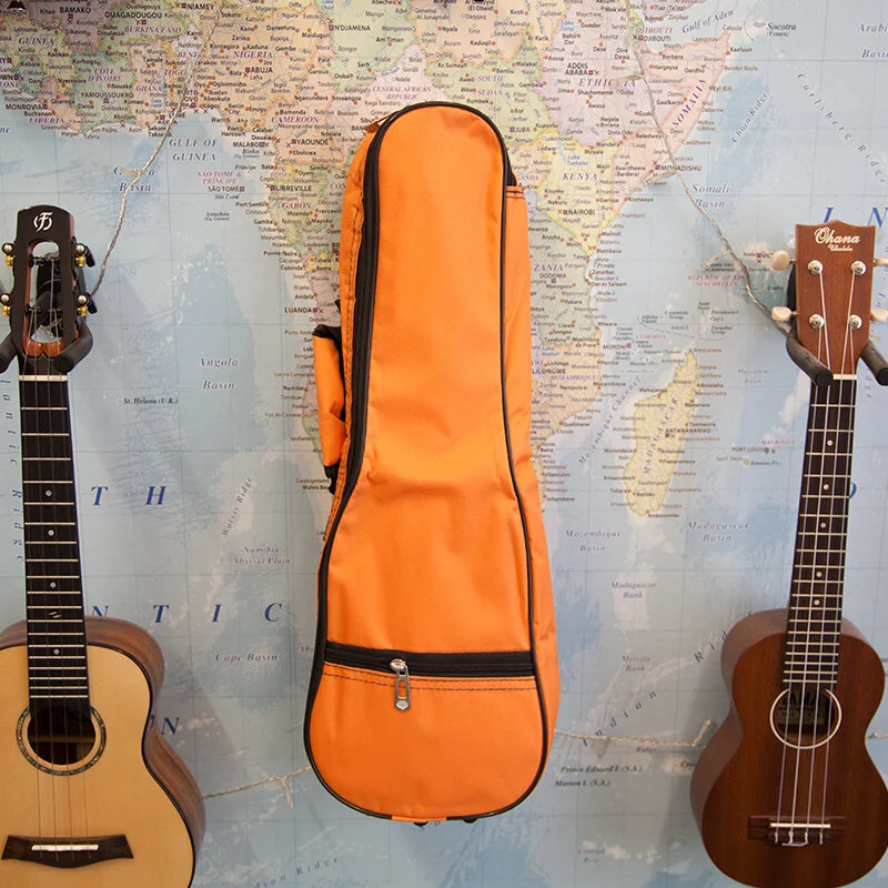 fremont ukulele case