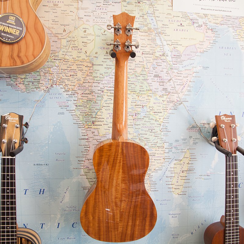 Snail-BH-8C-Concert-Ukulele-2.jpg