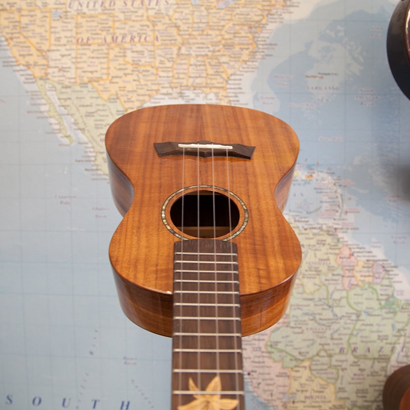 Snail-BH-8C-Concert-Ukulele-3.jpg