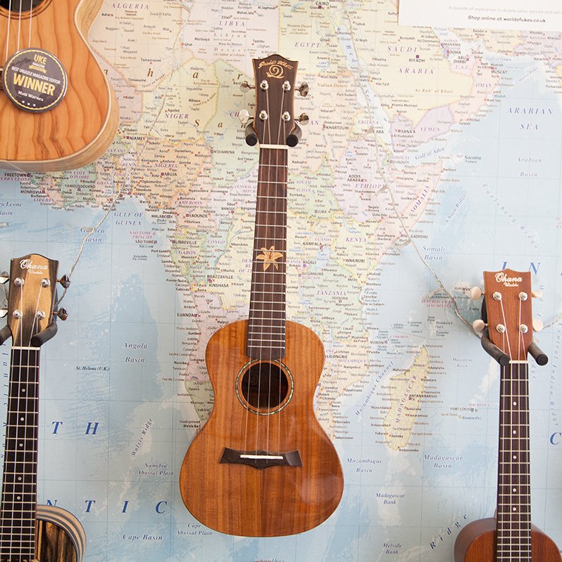 Snail-BH-8C-Concert-Ukulele.jpg