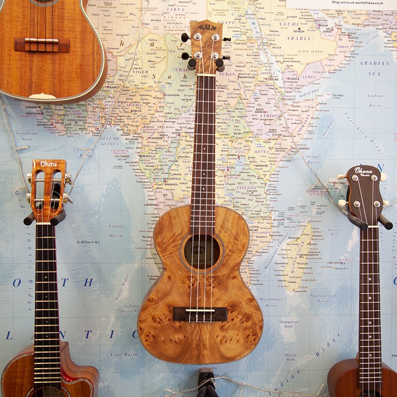 Kala KA-CARA-BUR-T Caramel Exotic Burl Tenor Ukulele