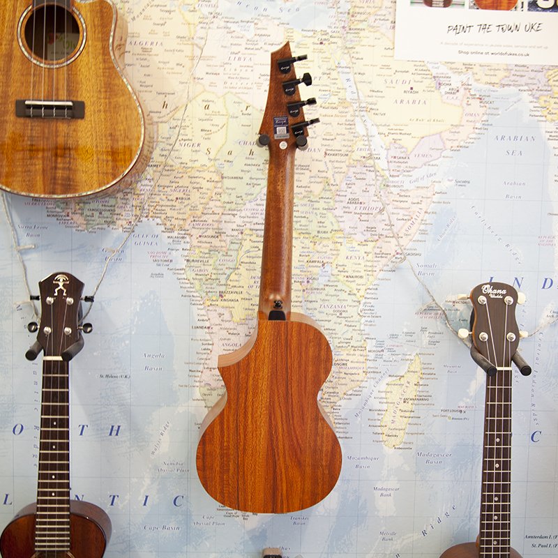 Enya-EUC-X1C-Concert-Ukulele-Demo-3.jpg