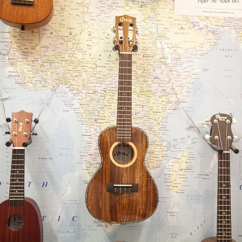 Uma-UK-30SC-EVO-Concert-  