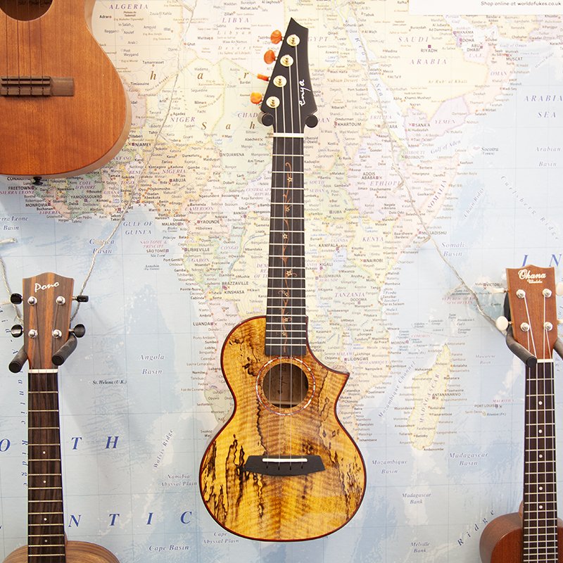 Enya EUCMG6 All Solid Mango Concert Ukulele — World of Ukes