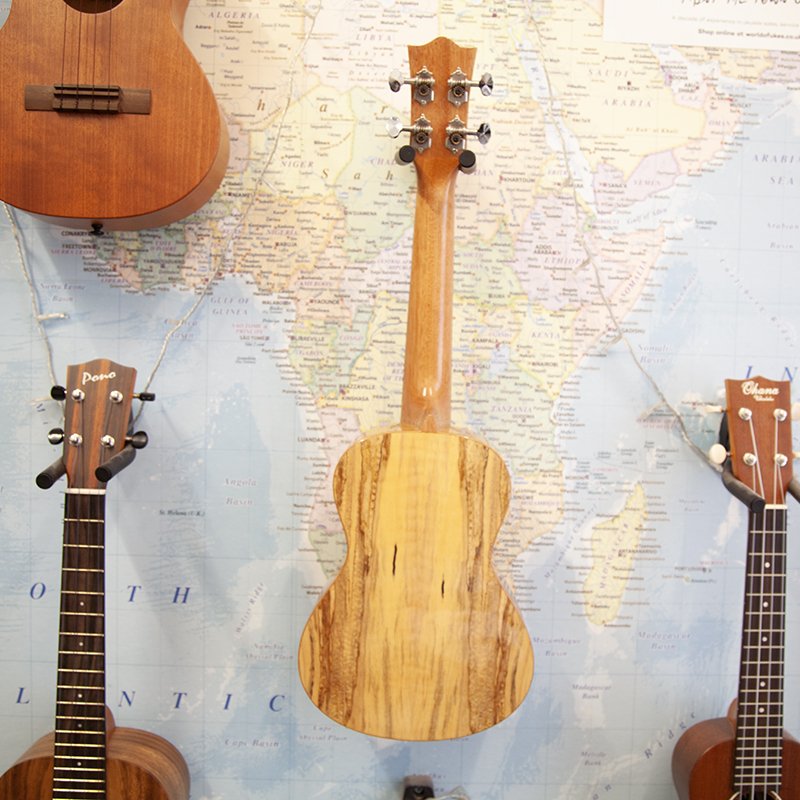 Snail-BH-1C-Concert-Ukulele-3.jpg