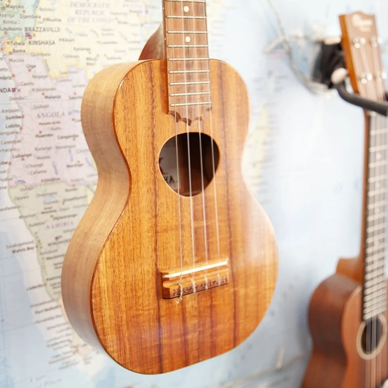 KoAloha-KCM-00-1.jpg