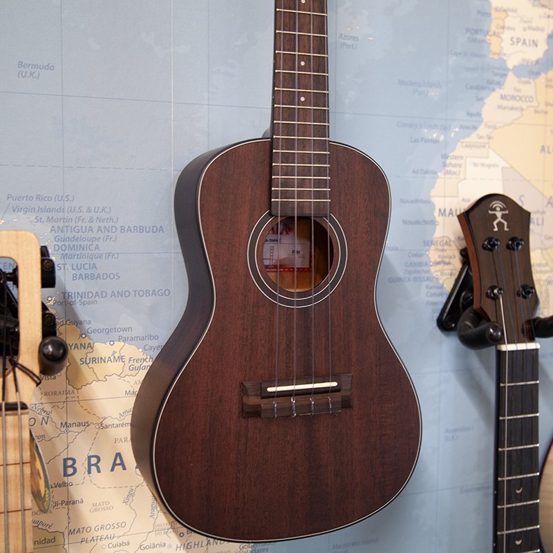 Kala-KA-SMH-C-Concert-Ukulele-1.jpg