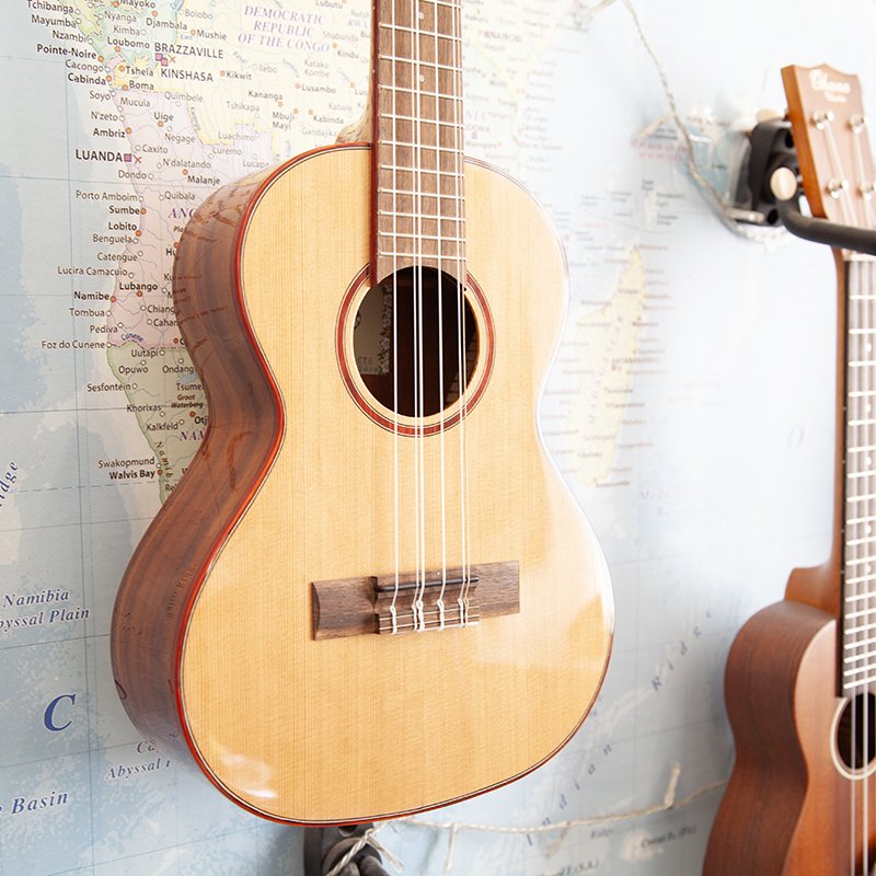6-string-kala-1.jpg