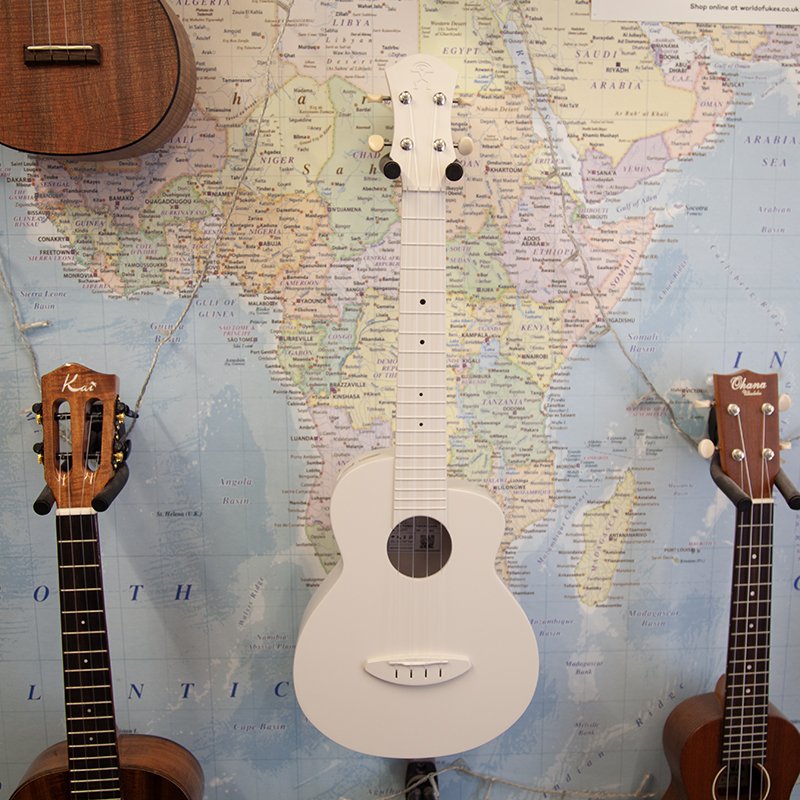 anuenue-lyra-concert-ukulele-warm-grey.jpg