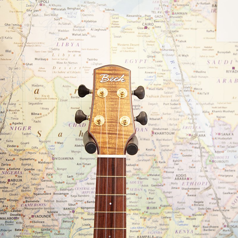 Martin-Beck-205-Tenor-Ukulele-2.jpg