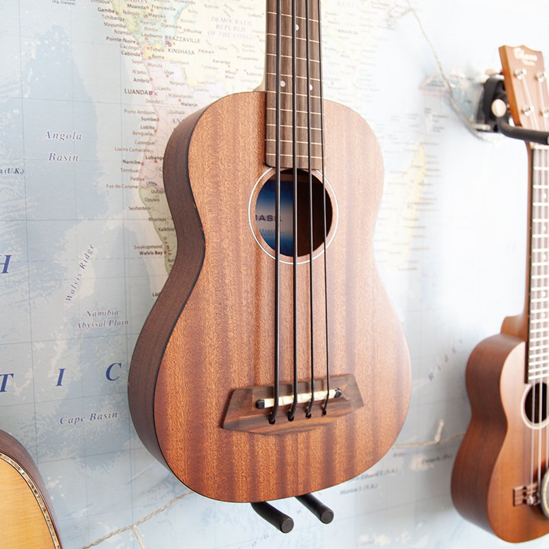 ubass1-fretless-1.jpg
