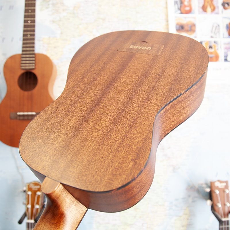 ubass1-fretless-5.jpg