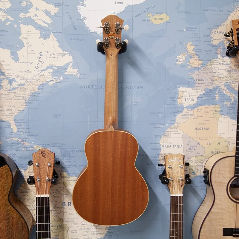 aNueNue-UC10-BA-Blue-Arona-Concert-Ukulele-3.jpg