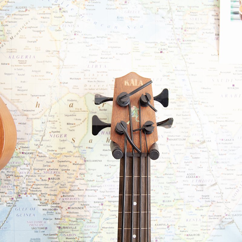 ubass1-fretless-2.jpg