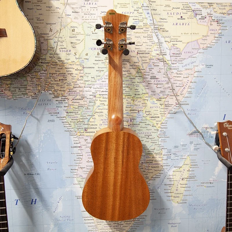 free-octopus-ukulele-3.jpg