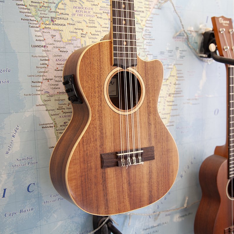 Lanikai-8-string-electro-1.jpg