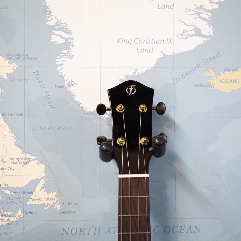 Flight-Maia-Tenor-Steel-String-Ukulele-2.jpg