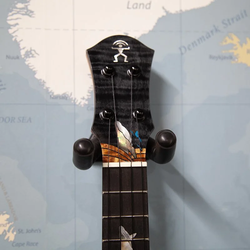 aNueNue-Black-Whale-Concert-Ukulele-2.jpg