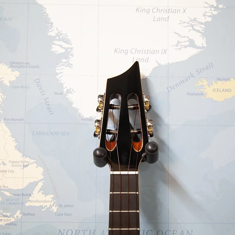 Locomango-Custom-Blackwood-Tenor-Ukulele-2.jpg