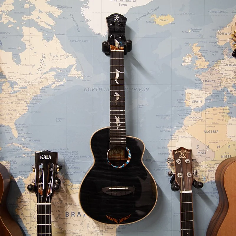 aNueNue-Black-Whale-Concert-Ukulele.jpg
