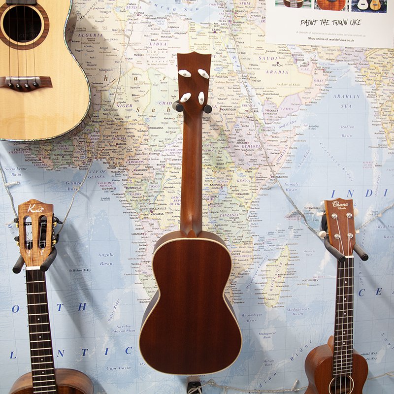 uk17ste-5.jpg