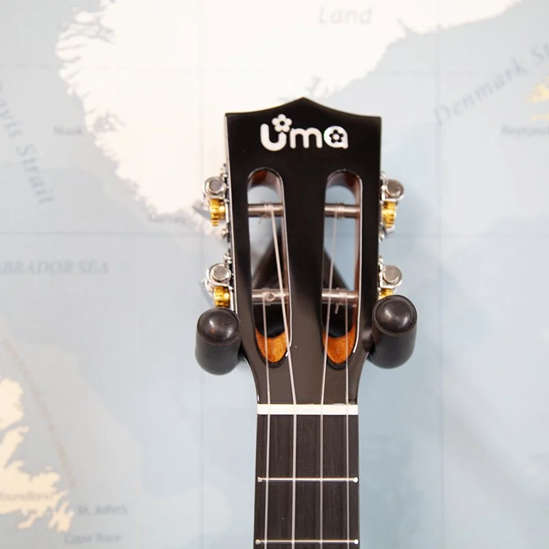 Uma-UK-20STP-BL-Blue-Pineapple-Tenor-Ukulele-2.jpg