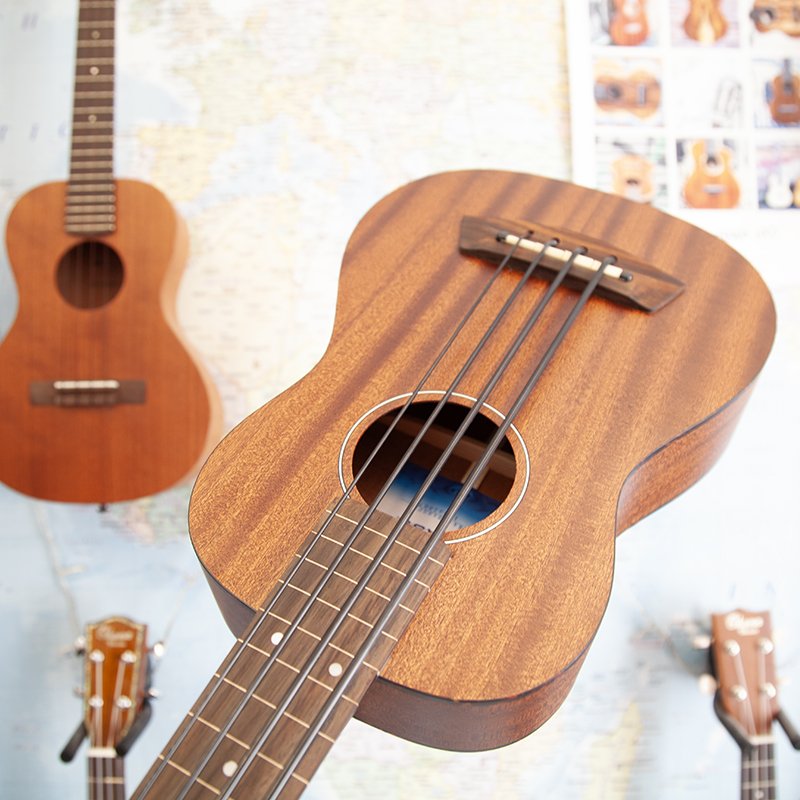 ubass1-fretless-4.jpg
