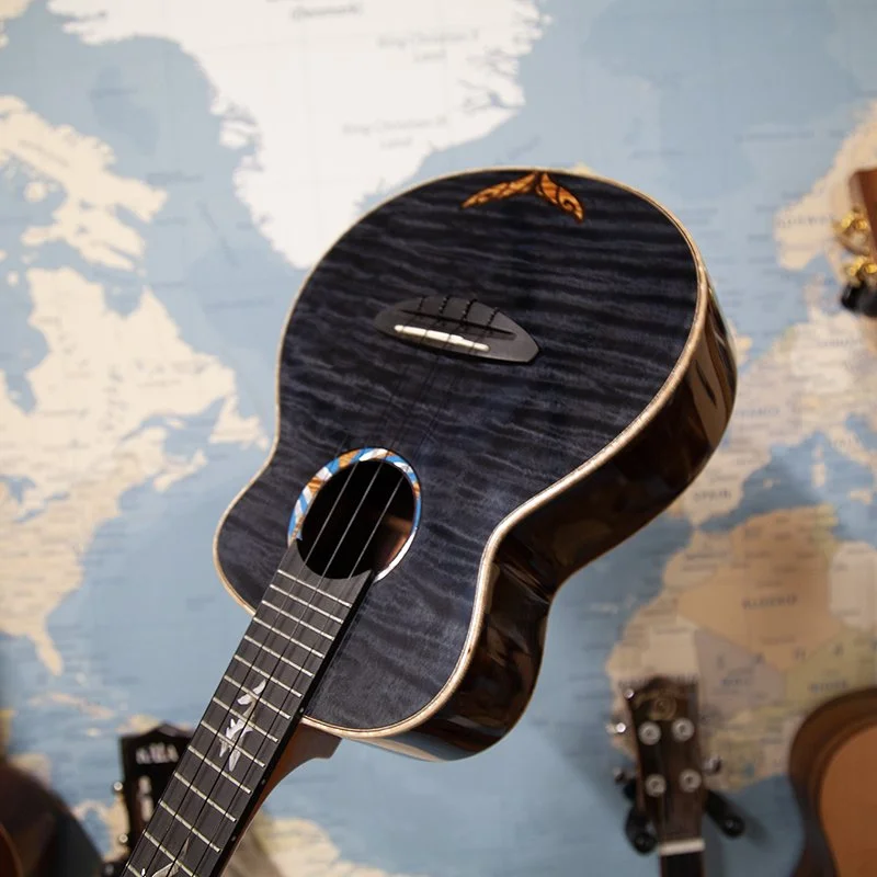 aNueNue-Black-Whale-Concert-Electro-Ukulele-4.jpg