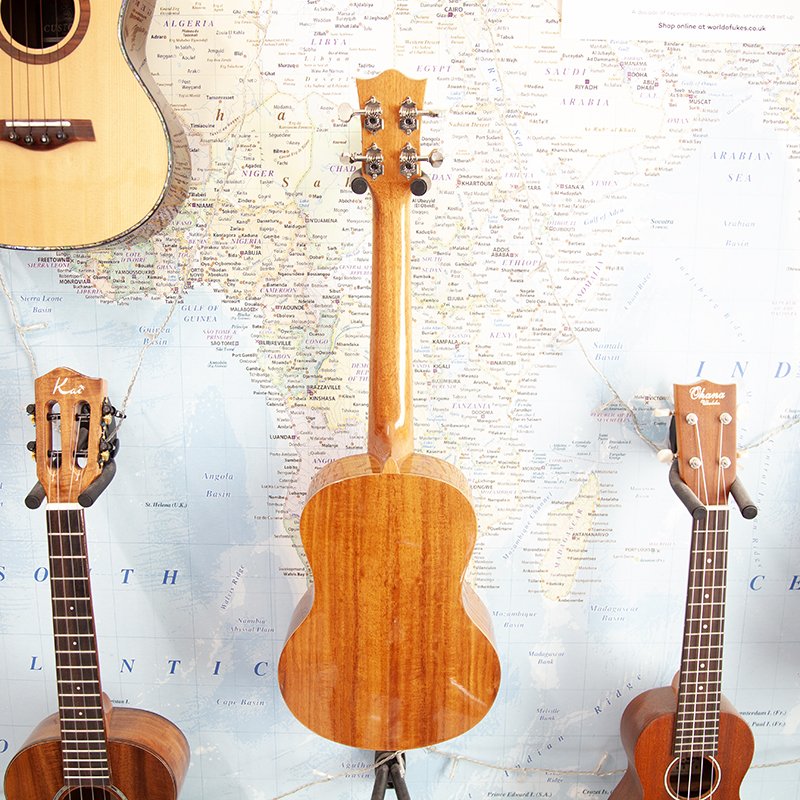 Snail-BH-8T-Tenor-Ukulele-3.jpg