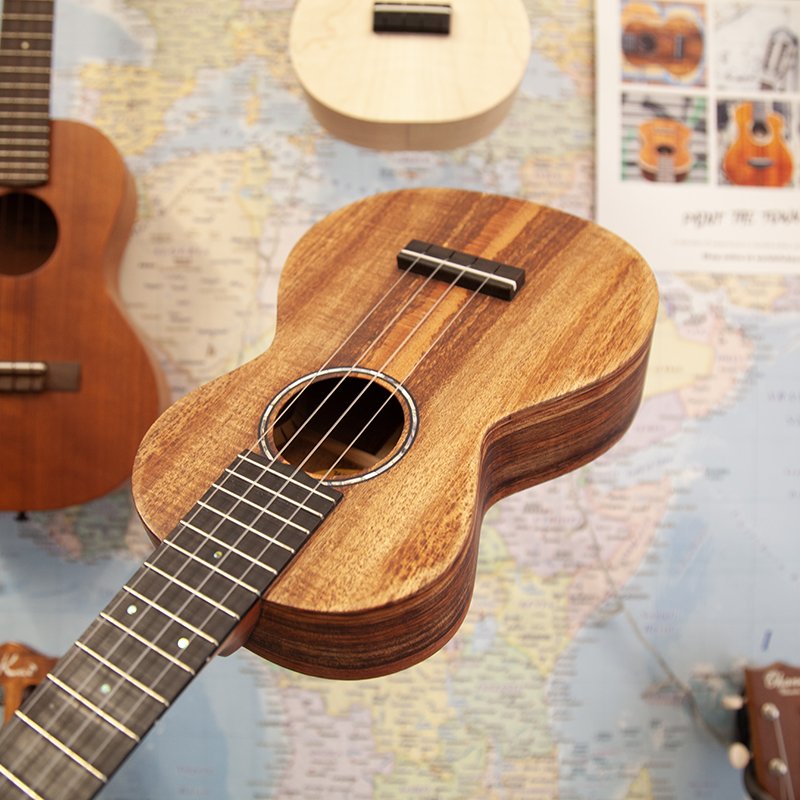 LoPrinzi-AK-AR-Super-Concert-Koa-Ukulele-4.jpg