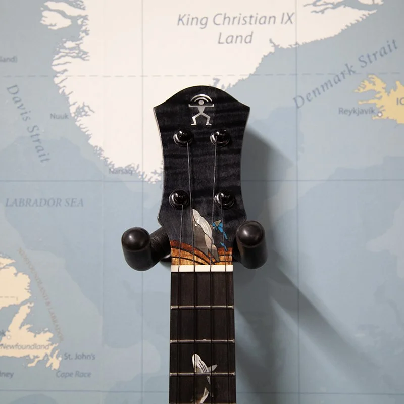 aNueNue-Black-Whale-Concert-Electro-Ukulele-2.jpg