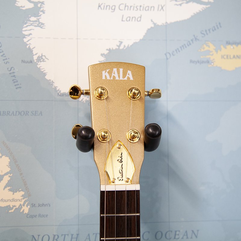 Kala KA-EO-RGT-T Retro Gold Electric Owl Tenor Ukulele-1.jpg