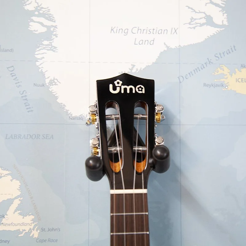 uma-uk-20ssp-Blue-Pineapple-Soprano-Ukulele-2.jpg