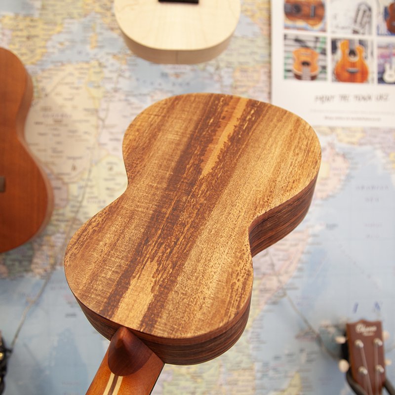 LoPrinzi-AK-AR-Super-Concert-Koa-Ukulele-5.jpg