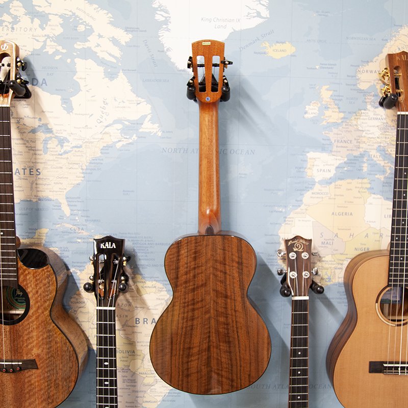 Kala-Umbra-Tenor-Electro-Ukulele-3.jpg