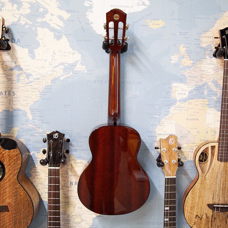 aNueNue-AMM3-Tenor-Ukulele-3.jpg