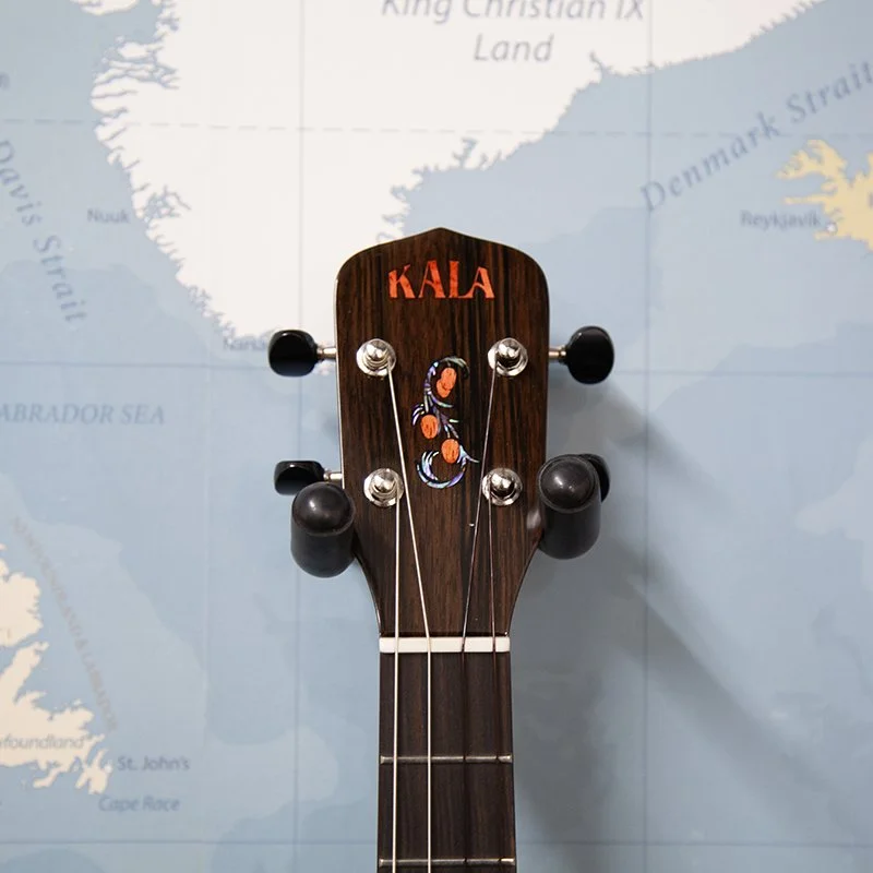 Kala-KA-METD-BMR-B-metropolitan-baritone-ukulele-2.jpg
