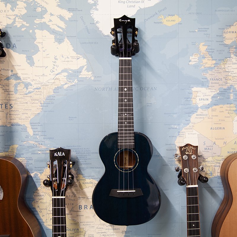 DISCONTINUED Enya EUC-MAD Blue Solid Mahogany Concert Ukulele