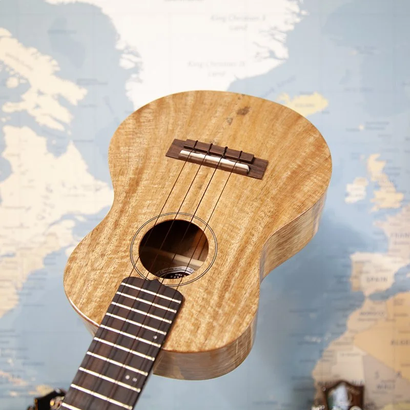 Kiwaya-KPC-1MG-4.jpg